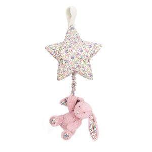 Blossom Tulip Bunny Star Musical Pull