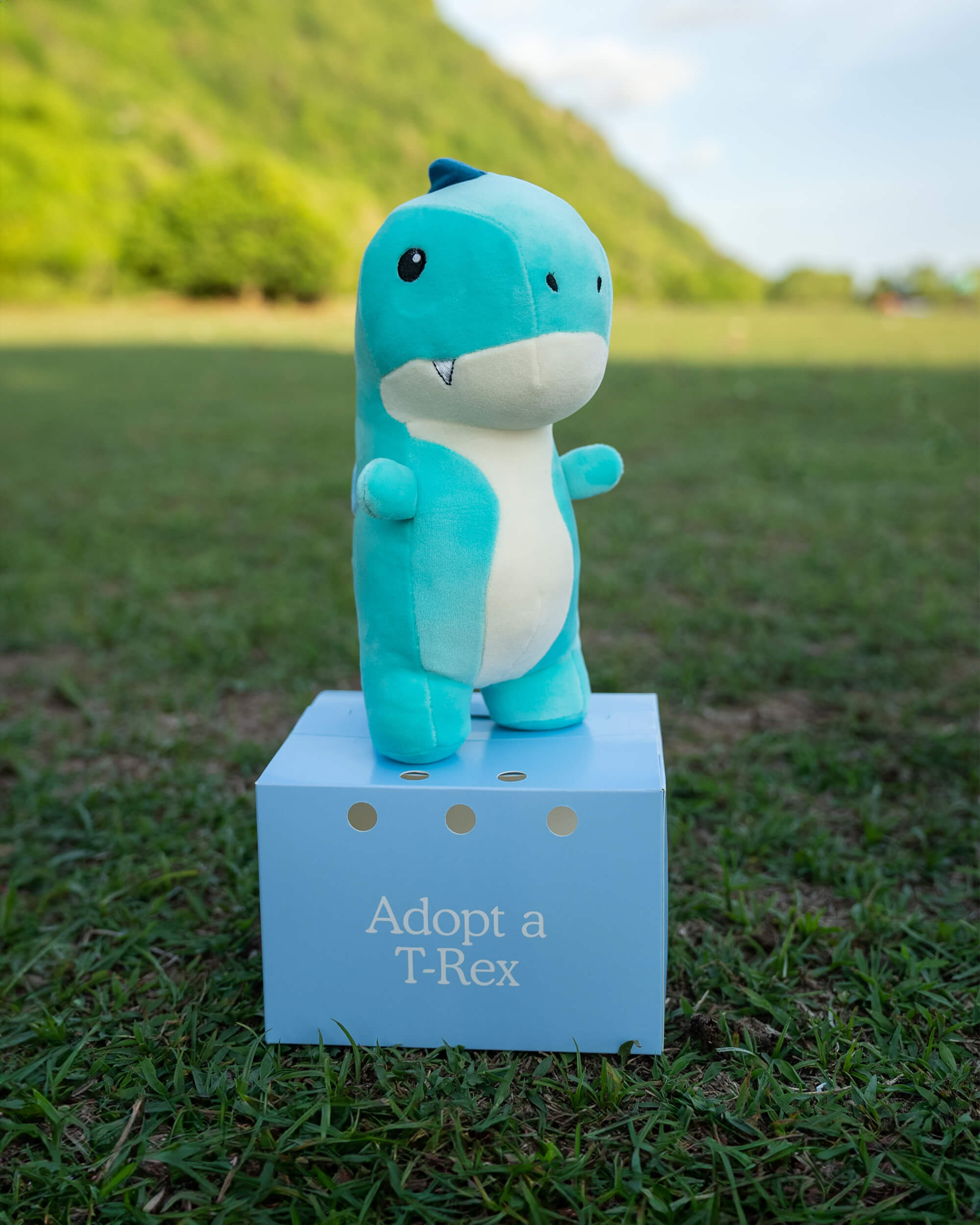 FYL_Plushies-trex-outside1_1.jpg