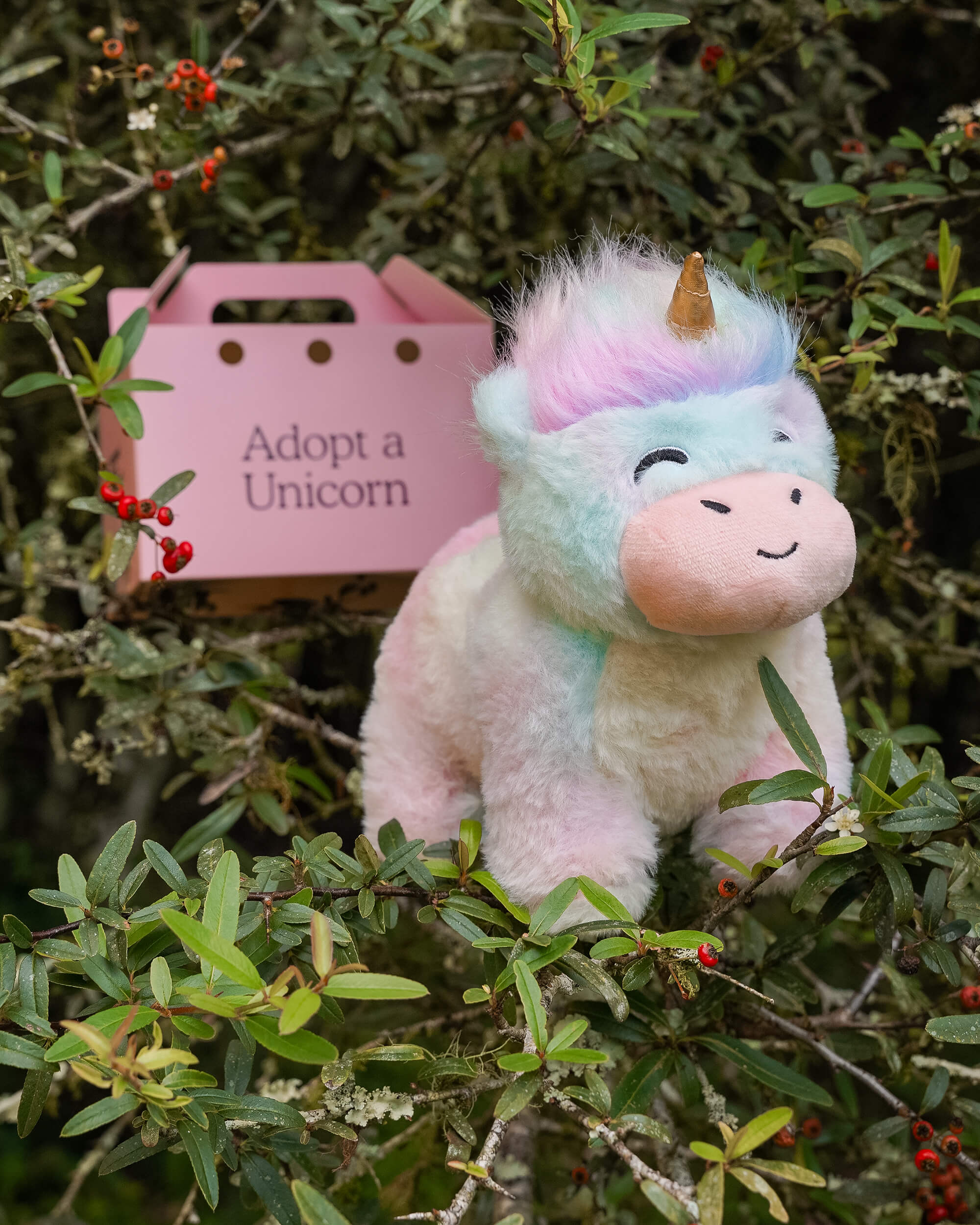 FYL_Plushies_Unicorn_OutdoorBox_1.jpg