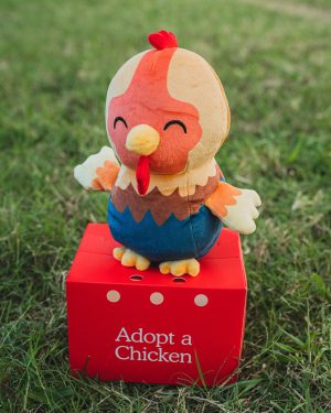 Rainbow Chicken Plushie