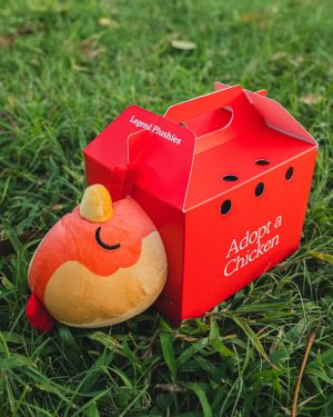 Rainbow Chicken Plushie