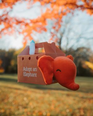 Elephant Plushie